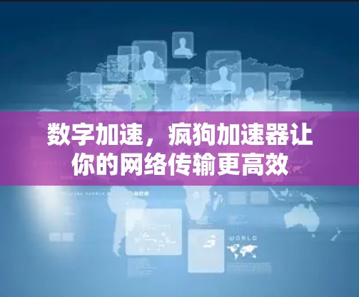 数字加速,疯狗加速器让你的网络传输更高效 数字加速,疯狗加速器让你的网络传输更高效