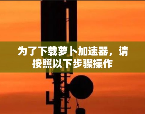 为了下载萝卜加速器,请按照以下步骤操作 为了下载萝卜加速器,请按照以下步骤操作