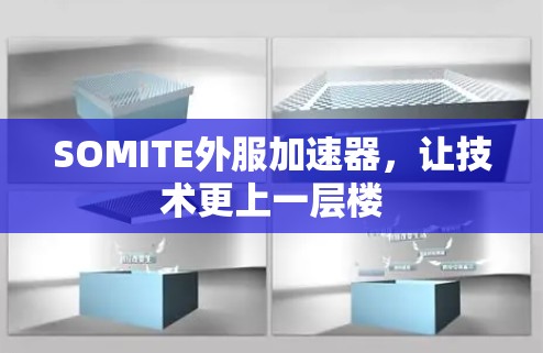 SOMITE外服加速器,让技术更上一层楼 SOMITE外服加速器,让技术更上一层楼