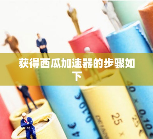 获得西瓜加速器的步骤如下 获得西瓜加速器的步骤如下