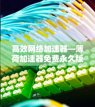 高效网络加速器—薄荷加速器免费永久版,助力你的网络流畅