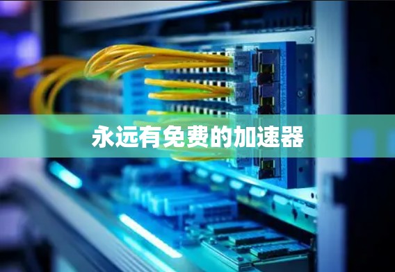 永远有免费的加速器 永远有免费的加速器