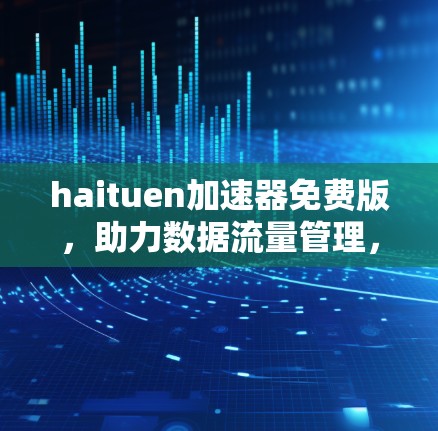 haituen加速器免费版,助力数据流量管理,提升网络效率 haituen加速器免费版,助力数据流量管理,提升网络效率