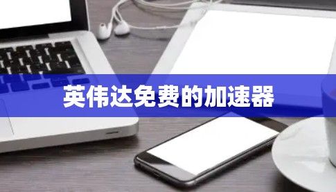 英伟达免费的加速器