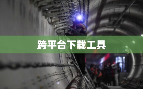 跨平台下载工具