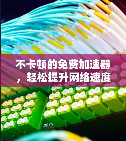 不卡顿的免费加速器,轻松提升网络速度的秘密