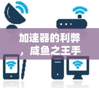 加速器的利弊,咸鱼之王手机加速器的全面解析