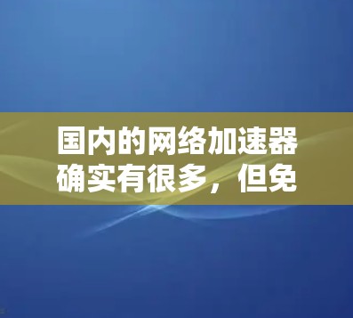 国内的网络加速器确实有很多，但免费版的数量和质量可能会有所不同。以下是一些国内知名的网络加速器及其免费版的情况