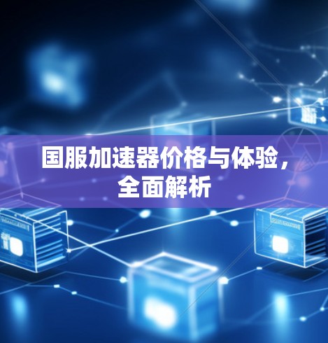 国服加速器价格与体验，全面解析