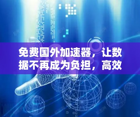 免费国外加速器,让数据不再成为负担,高效又省心