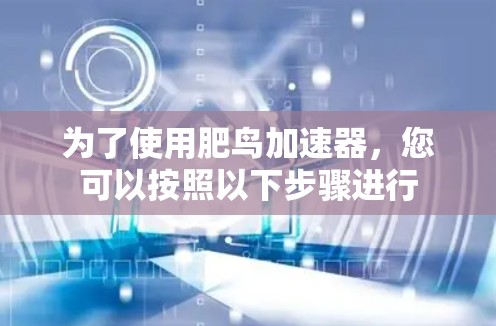 为了使用肥鸟加速器,您可以按照以下步骤进行