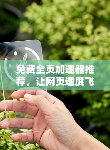 免费全页加速器推荐,让网页速度飞快