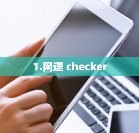 1.网速 checker