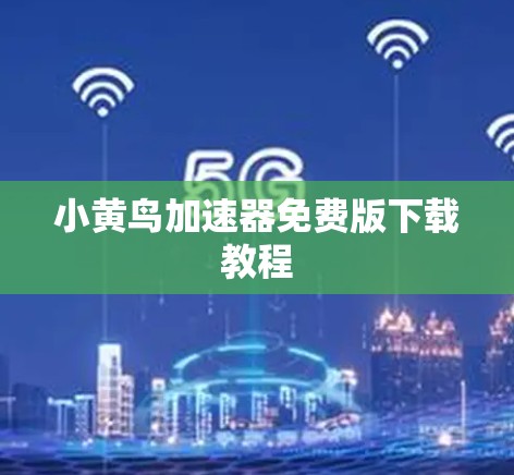 小黄鸟加速器免费版下载教程