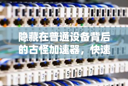 隐藏在普通设备背后的古怪加速器，快速处理和超低延迟的秘密