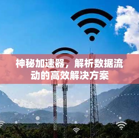 神秘加速器,解析数据流动的高效解决方案