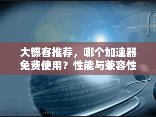 大镖客推荐,哪个加速器免费使用?性能与兼容性如何?