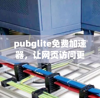 pubglite免费加速器，让网页访问更便捷的探索之旅