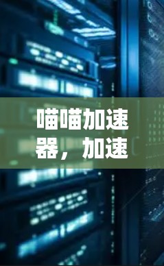 喵喵加速器，加速网络连接的便捷之选
