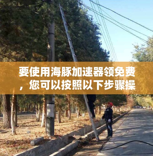 要使用海豚加速器领免费，您可以按照以下步骤操作