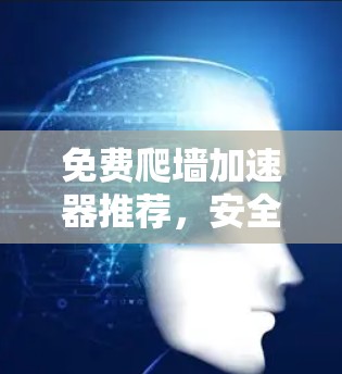 免费爬墙加速器推荐，安全与效率的平衡