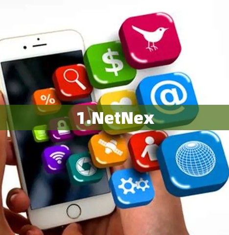 1.NetNex