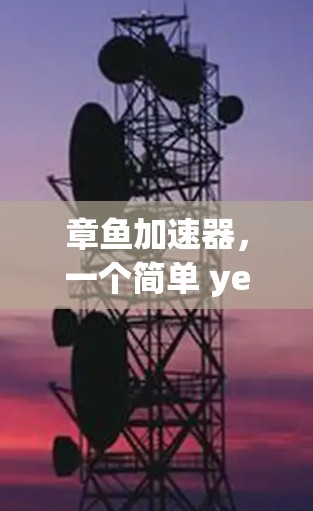 章鱼加速器，一个简单 yet 绝对免费 的网络加速工具