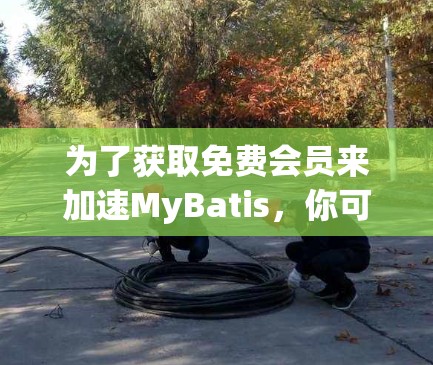 为了获取免费会员来加速MyBatis，你可以按照以下步骤进行选择