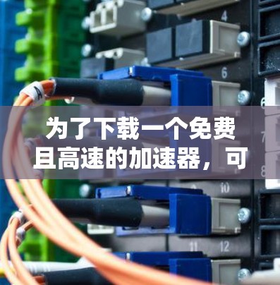 为了下载一个免费且高速的加速器,可以按照以下步骤操作