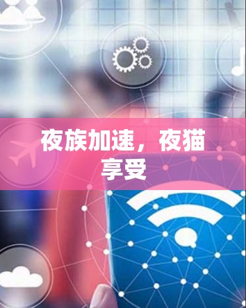 夜族加速,夜猫享受 夜族加速,夜猫享受