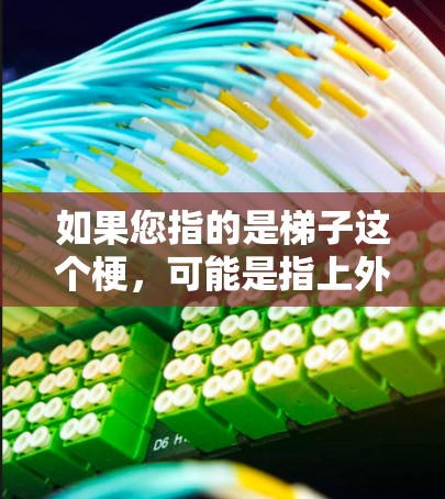 如果您指的是梯子这个梗,可能是指上外网网站中的某个特定功能或项目,比如某个平台的梯子式搜索、推荐功能等。如果您能提供更多上下文或详细信息,我可以进一步帮助您查找相关资料